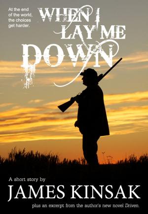 Cover of the book When I Lay Me Down by Gordie Shue
