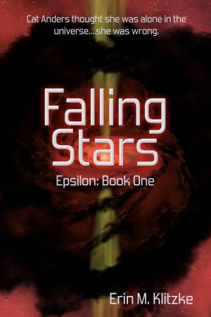 Book cover of Falling Stars