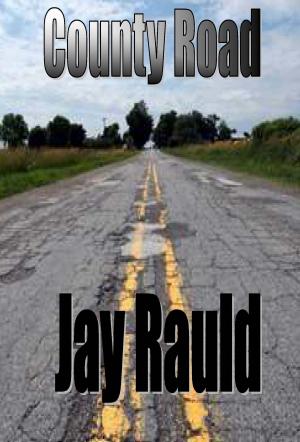 Cover of the book County Road by Michelle Taylor-Jones