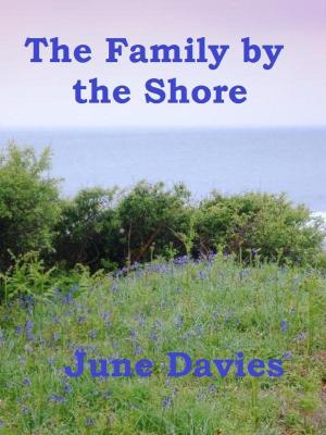 Cover of the book The Family by the Shore by Kim Murphy