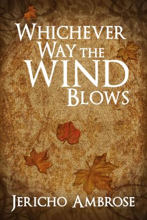 Cover of the book Whichever Way The Wind Blows by Stephanie Burgis
