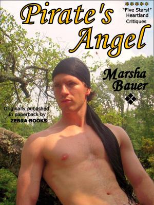 Cover of Pirate's Angel