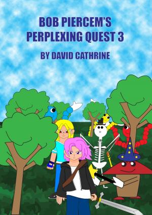 Book cover of Bob Piercem's Perplexing Quest 3