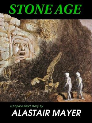 Book cover of Stone Age