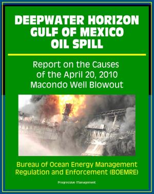 Cover of the book Deepwater Horizon Gulf of Mexico Oil Spill: Report on the Causes of the April 20, 2010 Macondo Well Blowout by Progressive Management