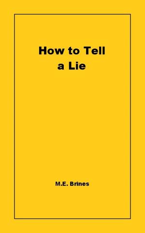 bigCover of the book How to Tell a Lie by 