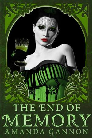 Cover of the book The End of Memory by Stevie Turner