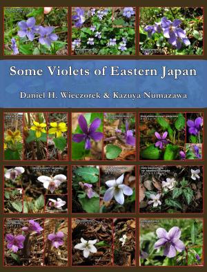 Book cover of Some Violets of Eastern Japan