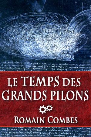 Book cover of Le Temps des Grands Pilons (TechLords - Les Seigneurs Tech - Vol. 3)