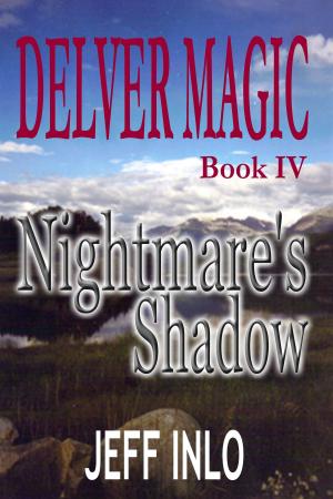 Cover of the book Delver Magic Book IV: Nightmare's Shadow by Ali AlAttar