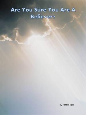 Book cover of Are You Sure You Are a Believer?