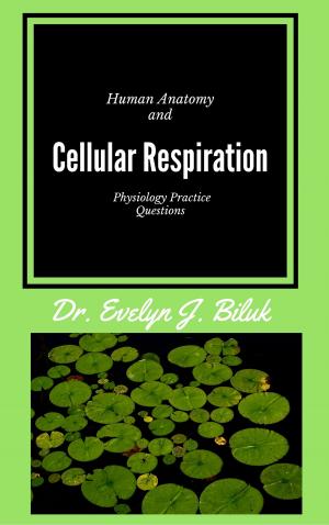Cover of the book Human Anatomy and Physiology Practice Questions: Cellular Respiration by Dr. Evelyn J Biluk