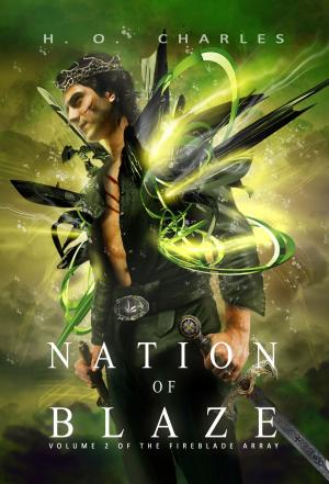 Book cover of Nation of Blaze (Volume 2 of The Fireblade Array)