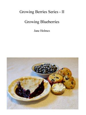 Cover of the book Growing Blueberries by Bonni Goldstein