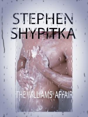 Book cover of The Williams' Affair