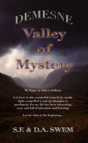 Cover of the book Demesne: Valley of Mystery by L. Harcroft