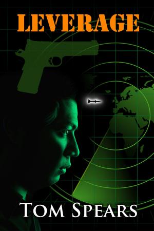 Book cover of Leverage