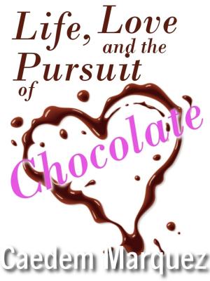 Cover of the book Life, Love and the Pursuit of Chocolate by DD Lorenzo