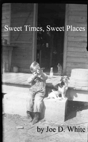 Book cover of Sweet Times, Sweet Places