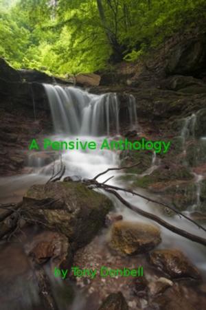 bigCover of the book A Pensive Anthology by 