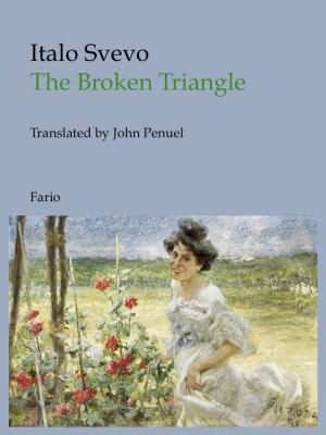 Cover of the book The Broken Triangle by Gérard de Nerval