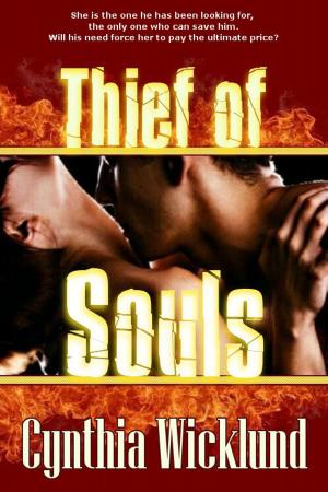 Cover of the book Thief of Souls by D.W. Metz