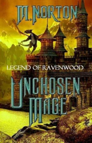 Cover of the book Unchosen Mage by fazilla shujaat