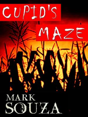Book cover of Cupid's Maze