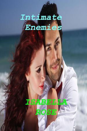 Cover of the book Intimate Enemies by A.M. Burns, A.T. Weaver