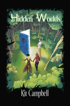 Cover of the book Hidden Worlds by Lucy St. John