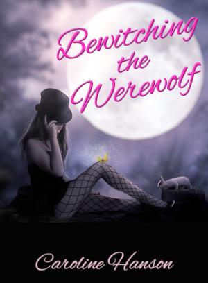 Cover of Bewitching the Werewolf