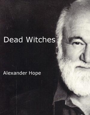 Book cover of Dead Witches