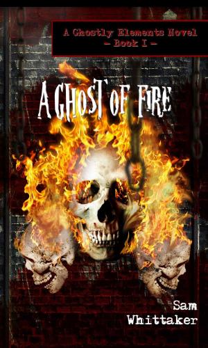 Book cover of A Ghost of Fire