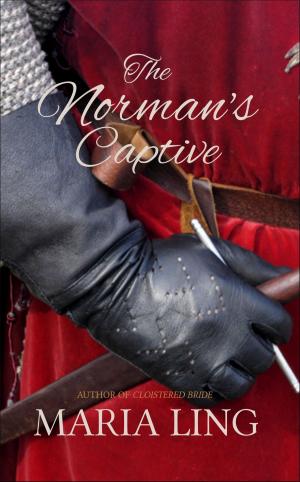 Cover of The Norman's Captive