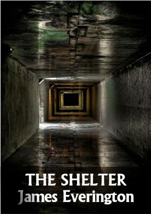 Cover of the book The Shelter by Lee Donoghue