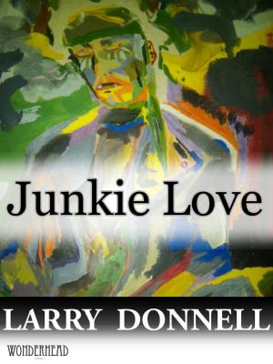 Book cover of Junkie Love