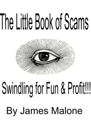 Book cover of The Little Book of Scams: Swindling for Fun and Profit!