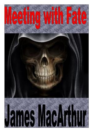 Cover of the book Meeting with Fate by Nancy M. Griffis