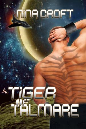 Cover of the book Tiger of Talmare by Jens Fitscher