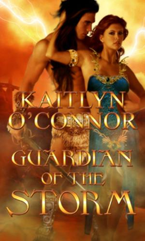 Cover of the book Guardian Of The Storm by Kaitlyn O'Connor