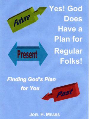 bigCover of the book Yes! God Does Have a Plan for Regular Folks! by 