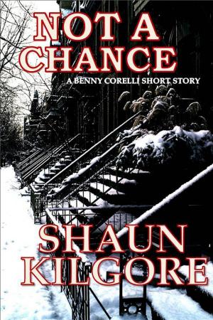 Cover of the book Not A Chance by Alexandre Bisson, J. W. McConaughy