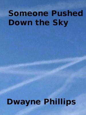 Book cover of Someone Pushed Down the Sky