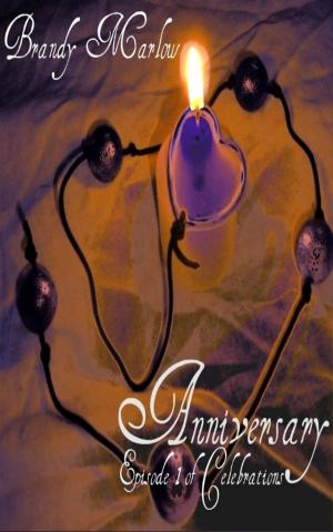 Cover of the book Anniversary: Episode 1 of Celebrations by Carol R Ward