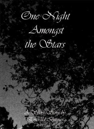Book cover of One Night Amongst the Stars: A Short Story