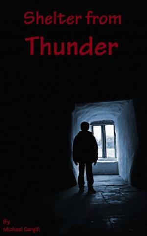 Cover of Shelter from Thunder