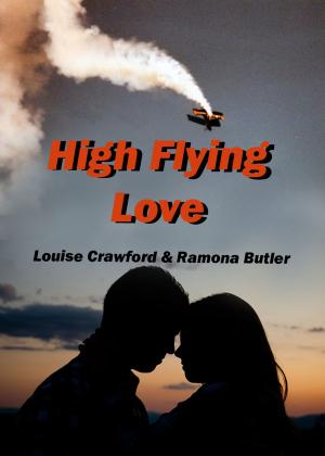 Cover of the book High Flying Love by Anja Talbot