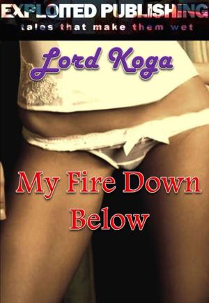 Book cover of My Fire Down Below