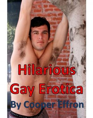 Cover of the book Hilarious Gay Erotica by B.C. Pope
