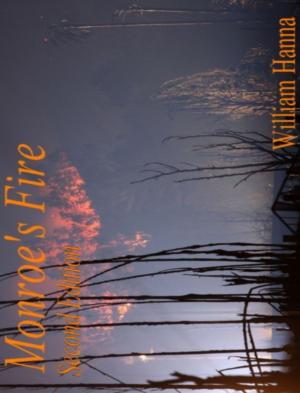 Book cover of Monroe's Fire II